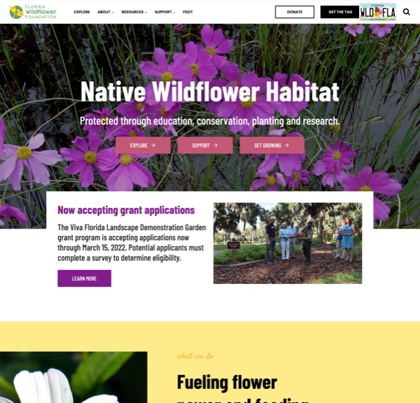 Florida Wildflower Foundation Website Design Preview